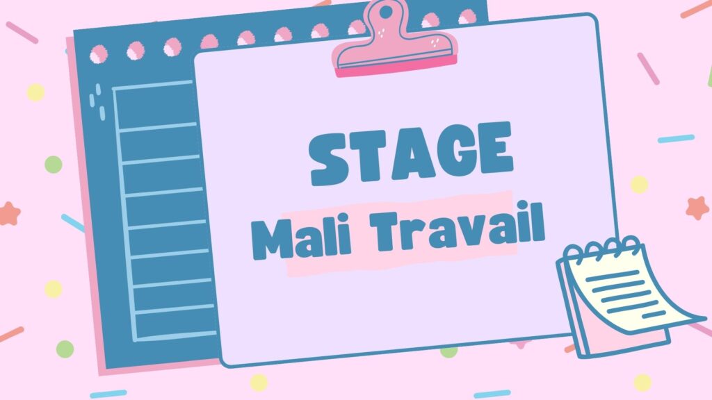 2 Stagiaires programme  - offre de stage mali - Bamako - Mali Travail