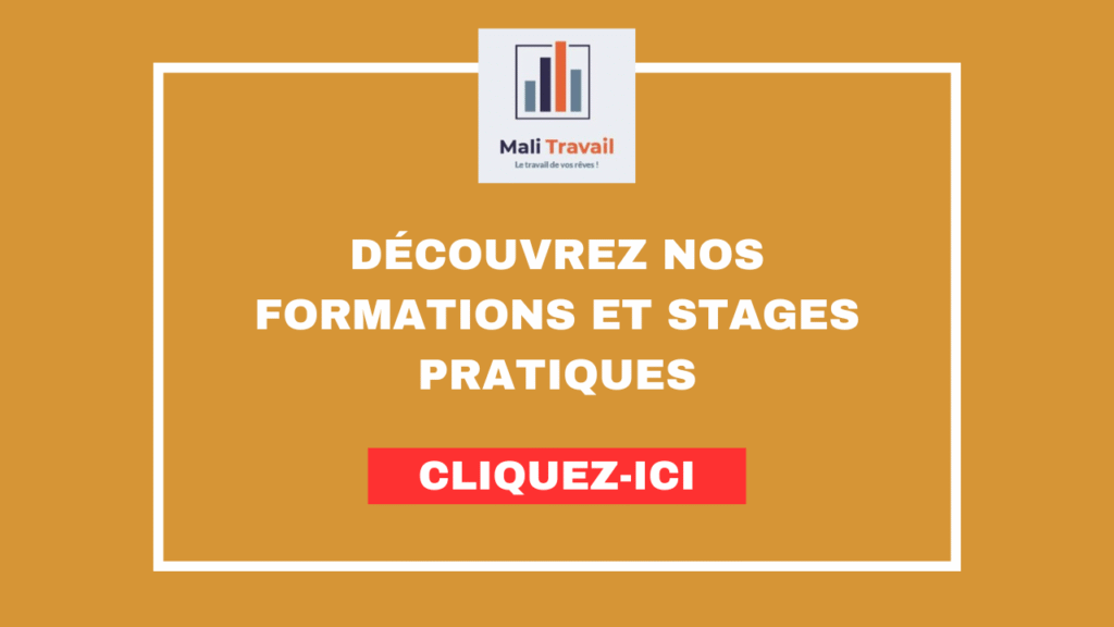 Découvrez nos formations et stages pratiques